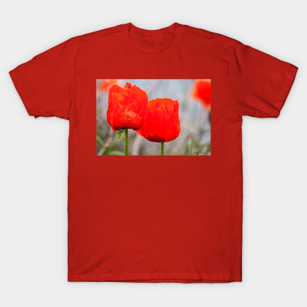 A splash of colour T-Shirt by Violaman